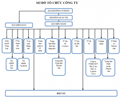 Sơ đồ tổ chức công ty