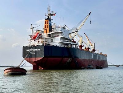 Vosco Starlight (VSA)